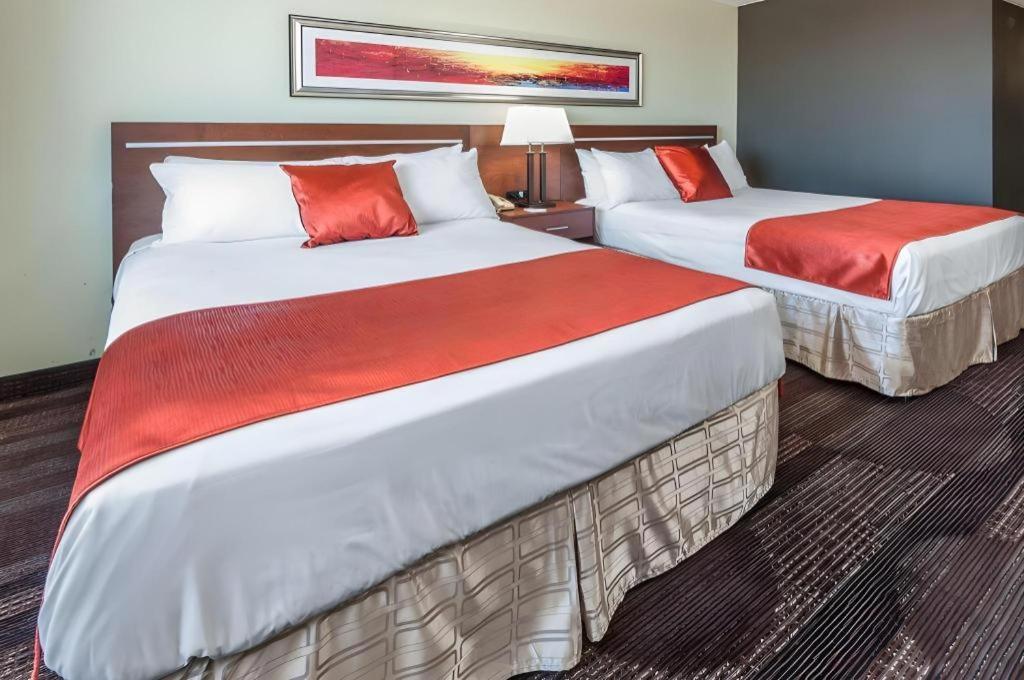 Bedfort & 3* Edmonton
